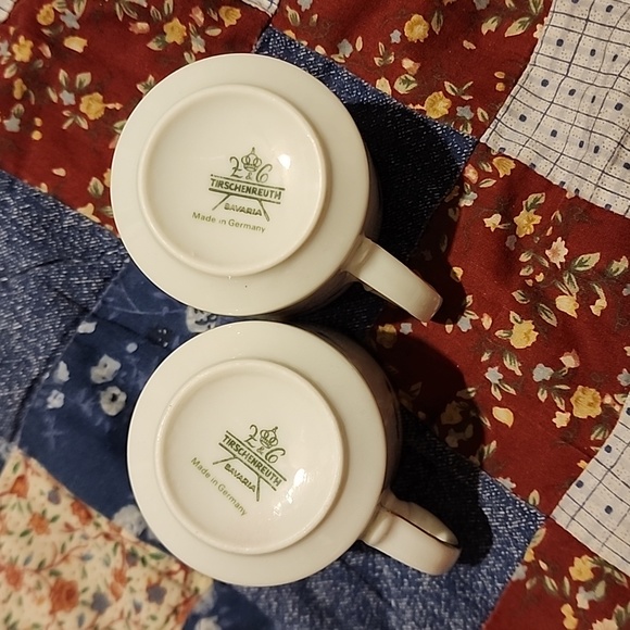 Set of Two Tirschenreuth Floral Golden Rim Demitasse Cups - Picture 4 of 4